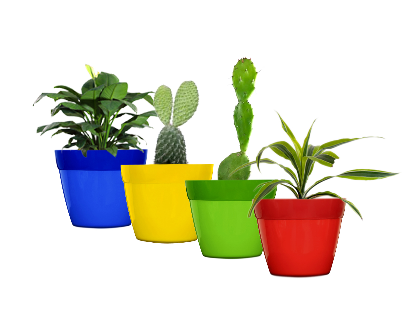 Decorative Planters Medium