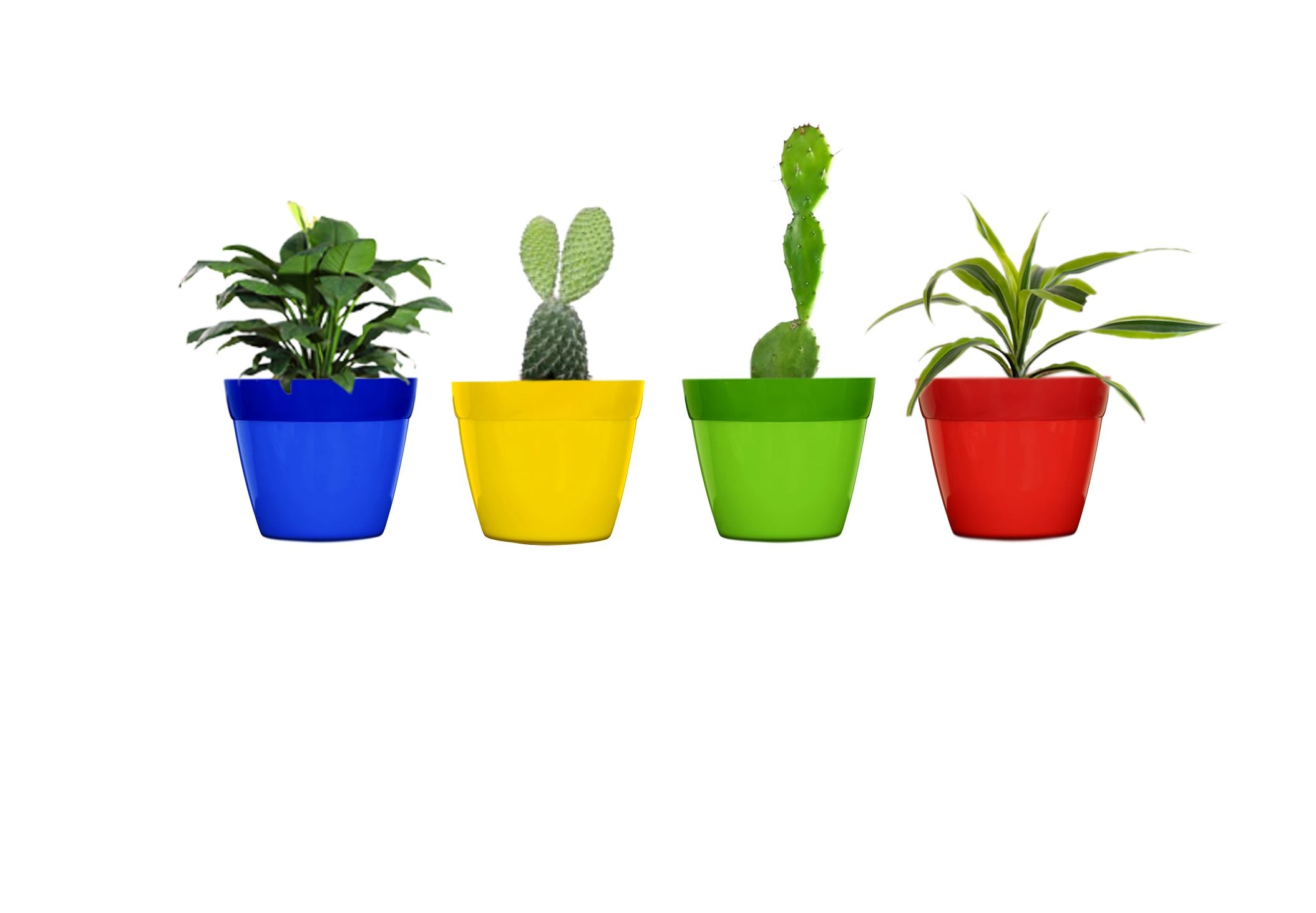 Decorative Planters Small