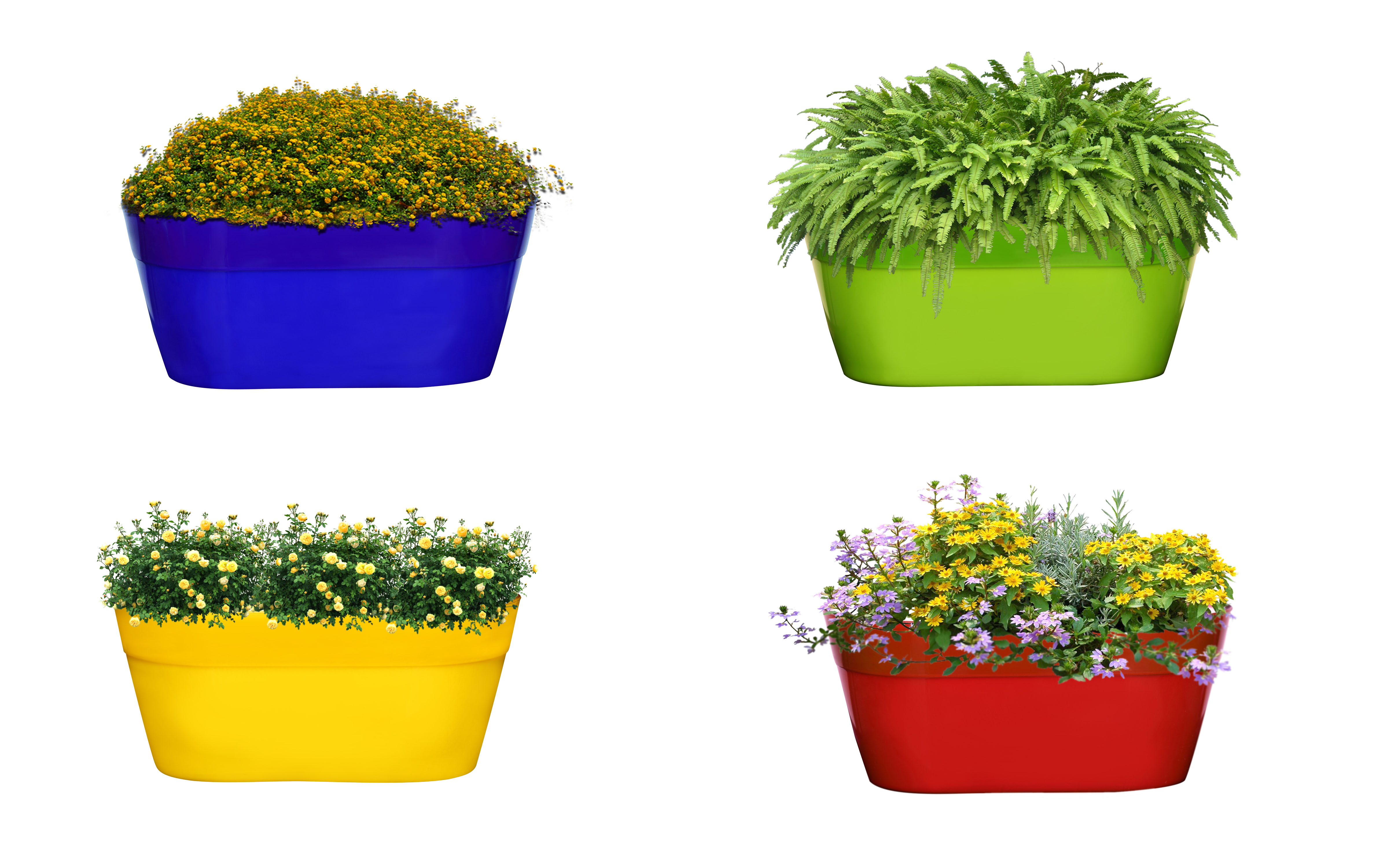 Decorative Planters Oval Shape