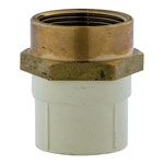 CPVC Pipes & Fittings - Female Adapter Brass Threaded