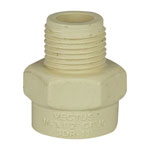 CPVC Pipes & Fittings - Reducing Male Adapter Plastic