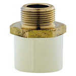 CPVC Pipes & Fittings - Reducing Male Adapter Brass