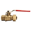 Female Valve