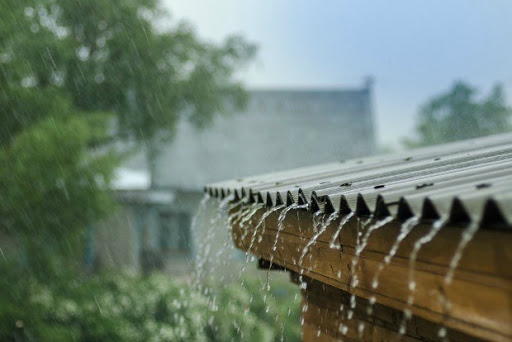 Harvest Rainwater