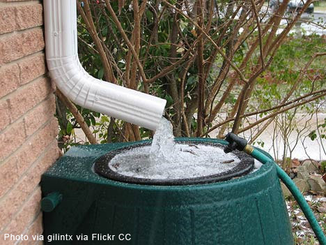 harvest Rainwater at your home