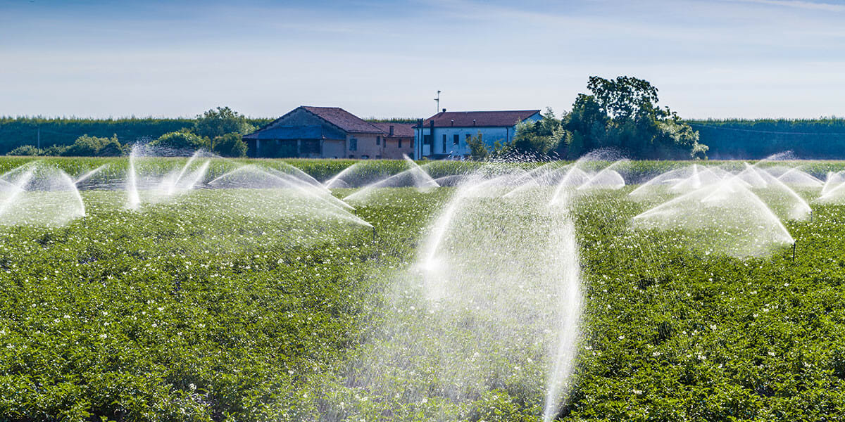 importance of irrigation in india