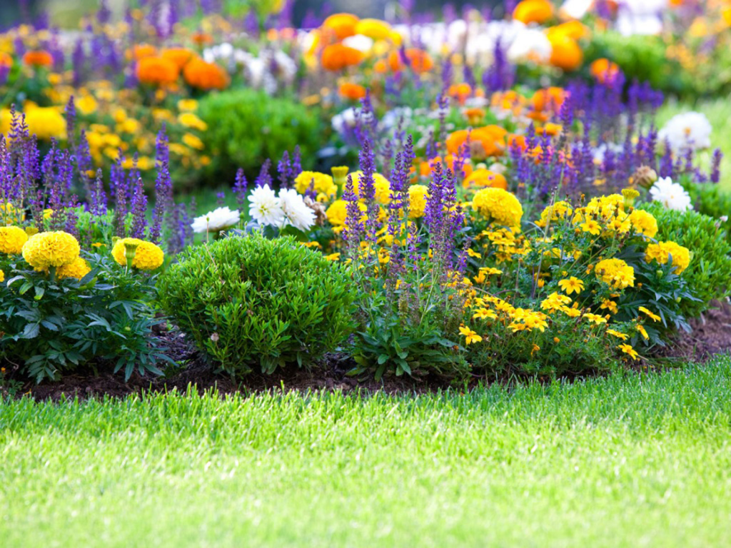 Choosing the right garden hose.