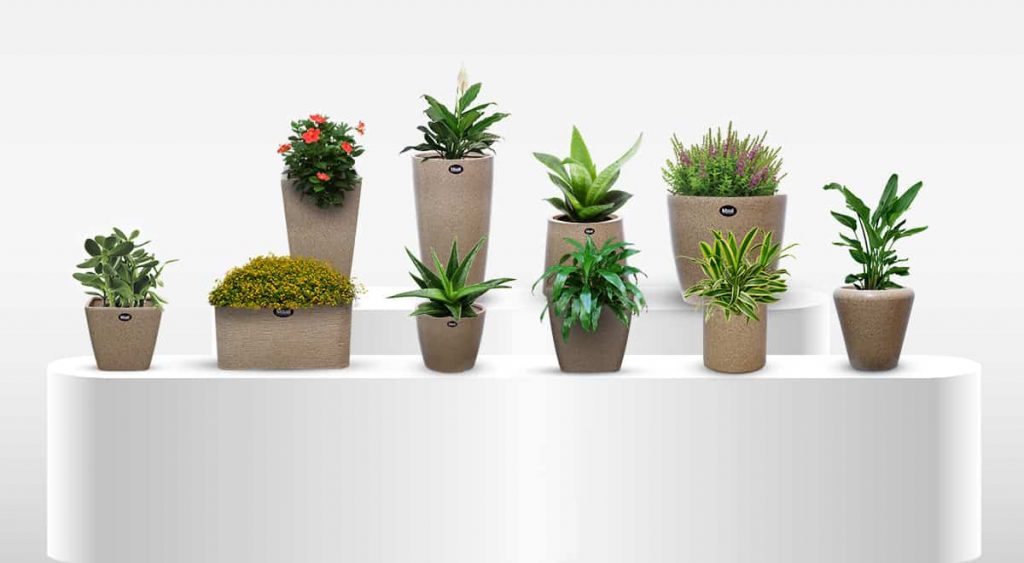 Vectus Maali Europa Range of Planters