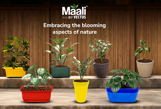 Gardening Products